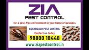 Cockroach Pest control Service | AMC available for pest cleaning  | Ca